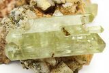 Lustrous, Yellow Apatite Crystals With Feldspar - Morocco #221042-2